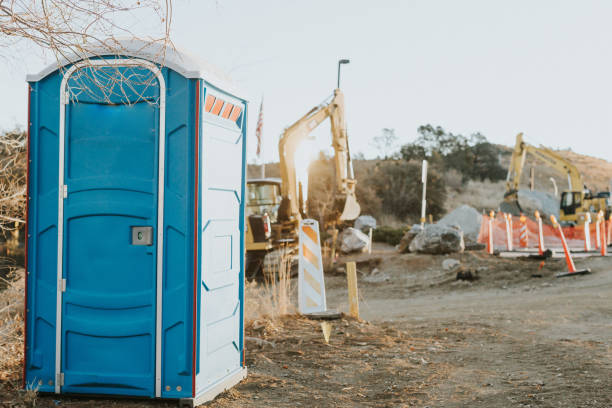 Best Sanitation services for porta potties  in Ronceverte, WV